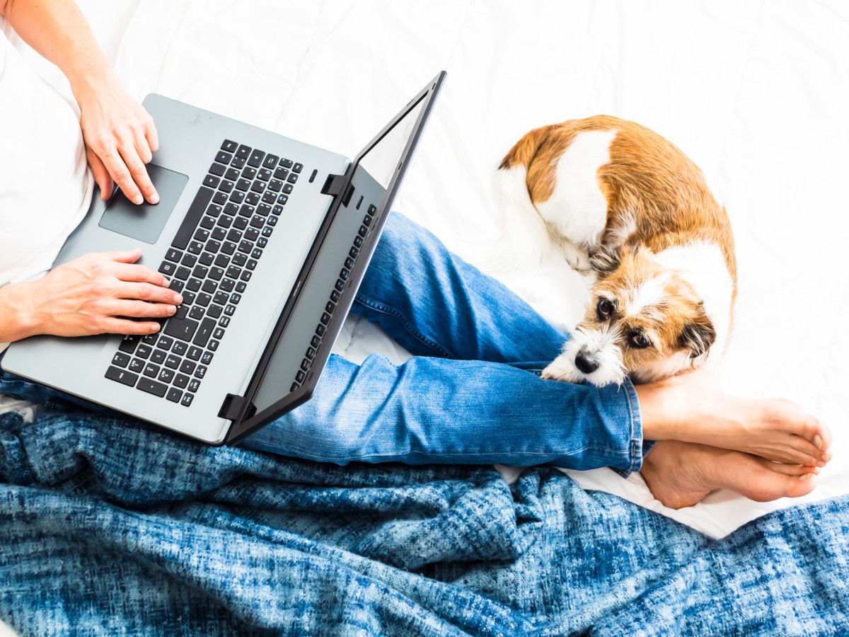 Working from home? 