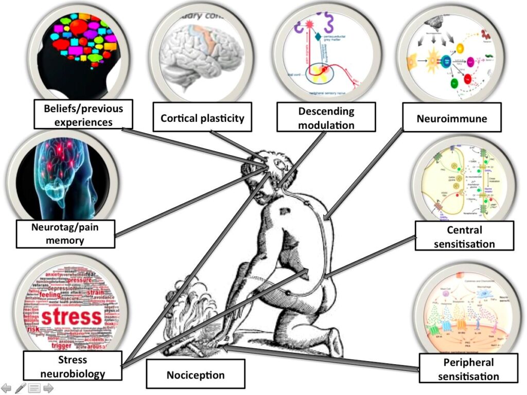 What is Pain and Why Do We Feel It?