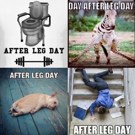Leg Day