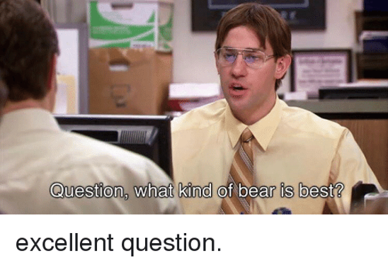 Which Bear Is Best