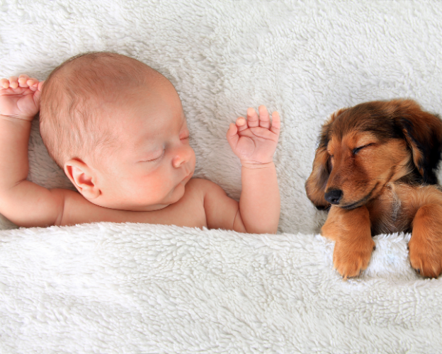 baby and puppy sleeping