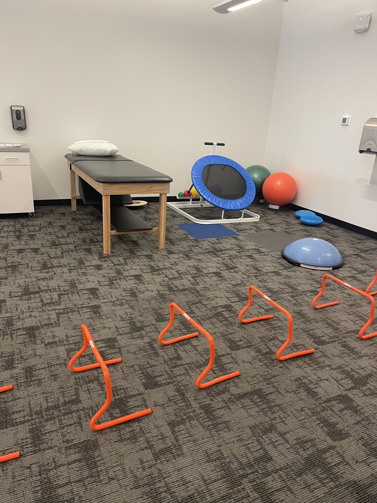 Lake Zurich_Clinic pic 2